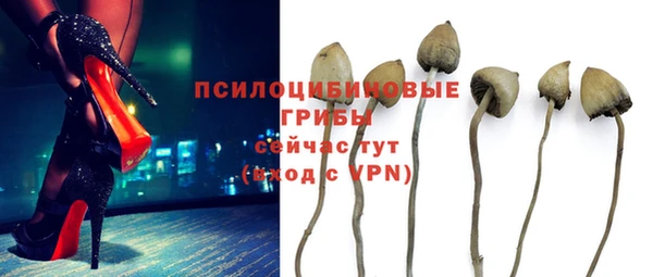 экстази Баксан
