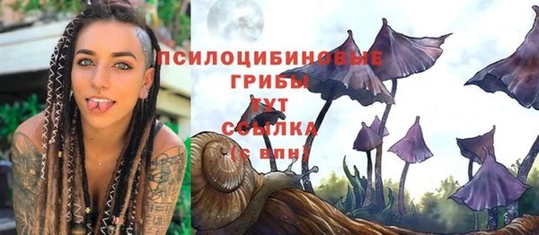 экстази Баксан